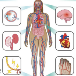 Complications of Diabetes and How to Manage Them