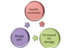 Hormones and weight loss