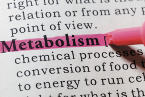How metabolism influences weight loss