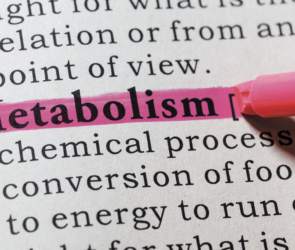 How metabolism influences weight loss