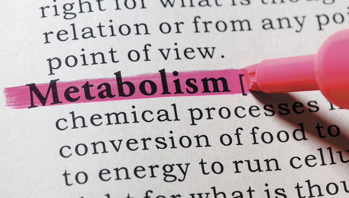 How metabolism influences weight loss