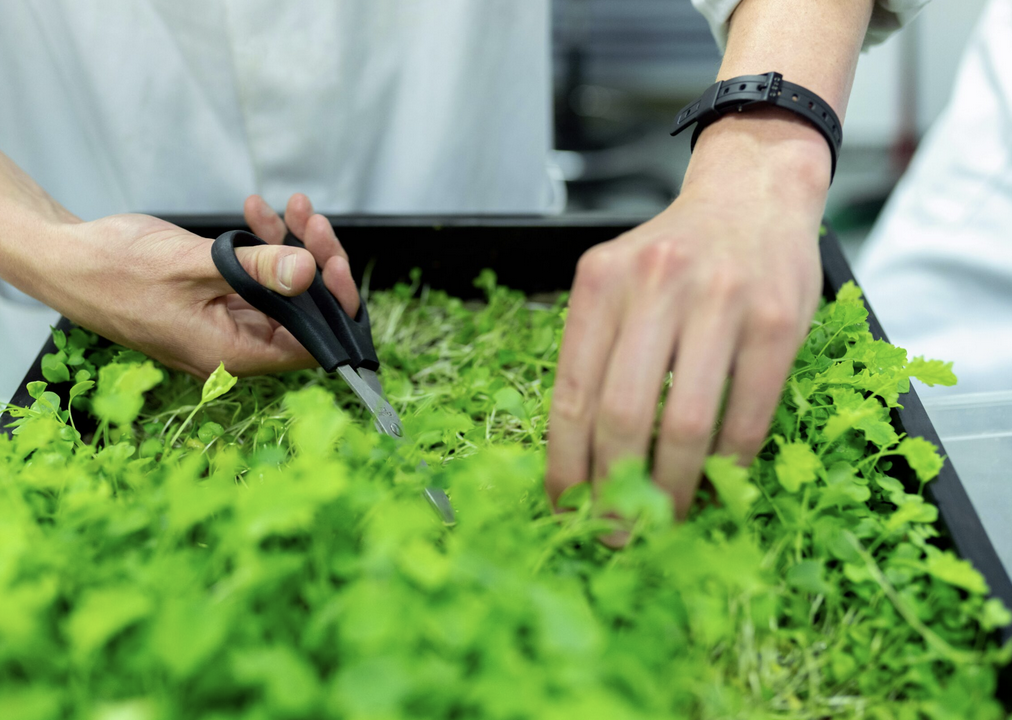 Incorporating Sustainable Lifestyle Changes