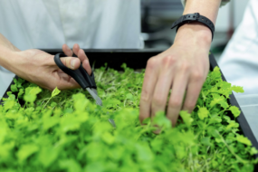 Incorporating Sustainable Lifestyle Changes