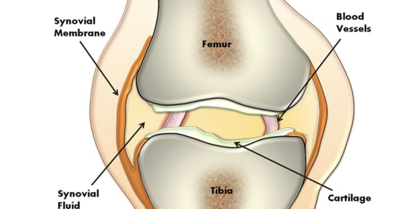 Reduce inflammation in joints