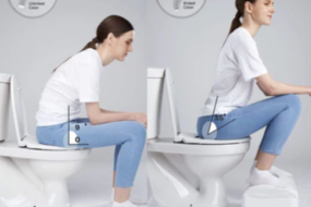 Toilet stool adult