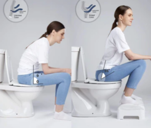 Toilet stool adult