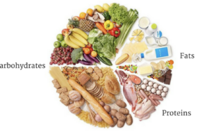 Understanding Macronutrients: Proteins, Fats, and Carbohydrates
