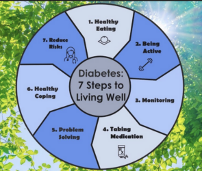 What are the 7 steps to control diabetes?
