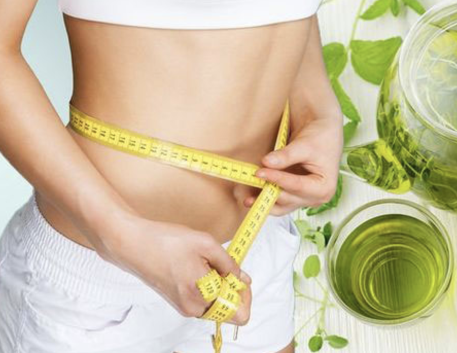 green tea how to lose weight