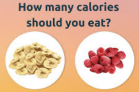 how many calories should i eat to lose weight
