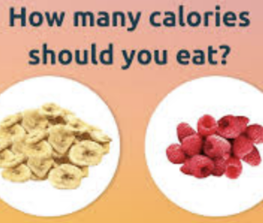 how many calories should i eat to lose weight