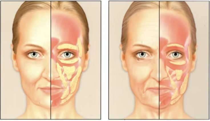 how to lose weight in face