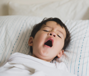 sleep stages and cycles