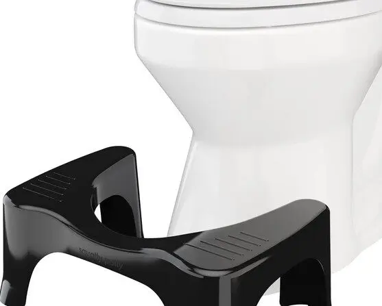 compare toilet posture